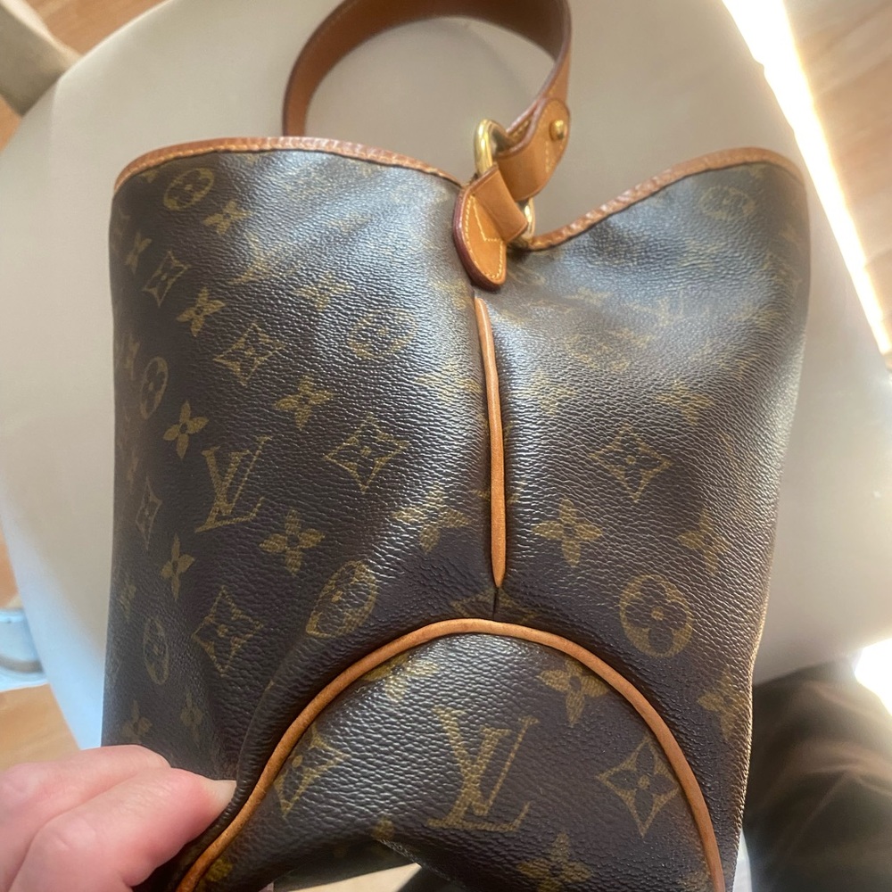 Louis Vuitton Monogram Delightful Bag - Picture 6 of 10